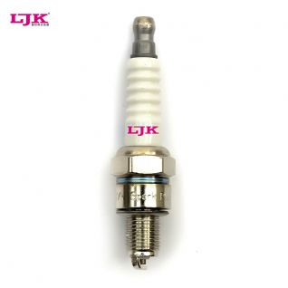 Lawn and Garden Machine Spark plug